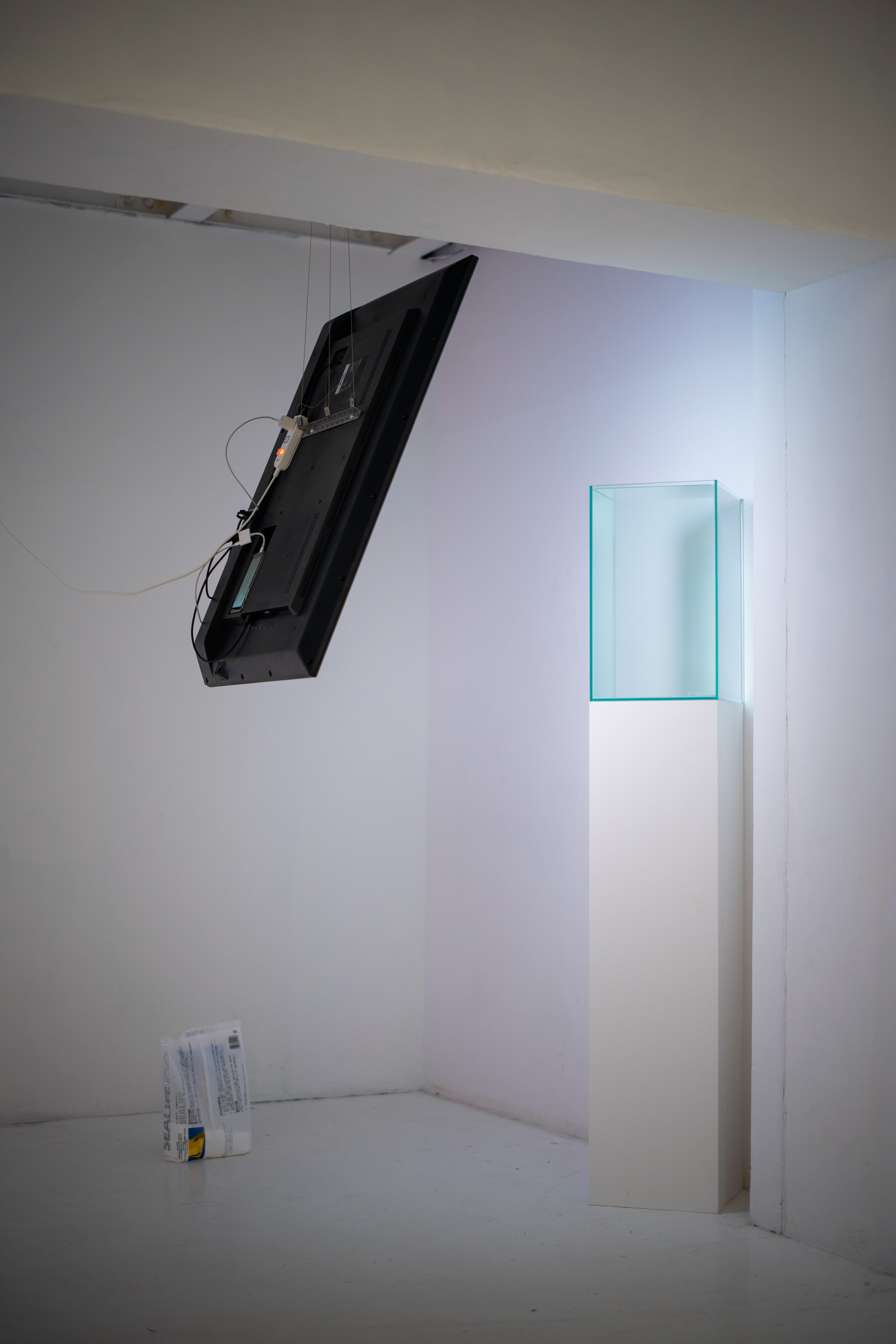 海は僕と、雲はあなたと似ている(59.6kg の自画像)