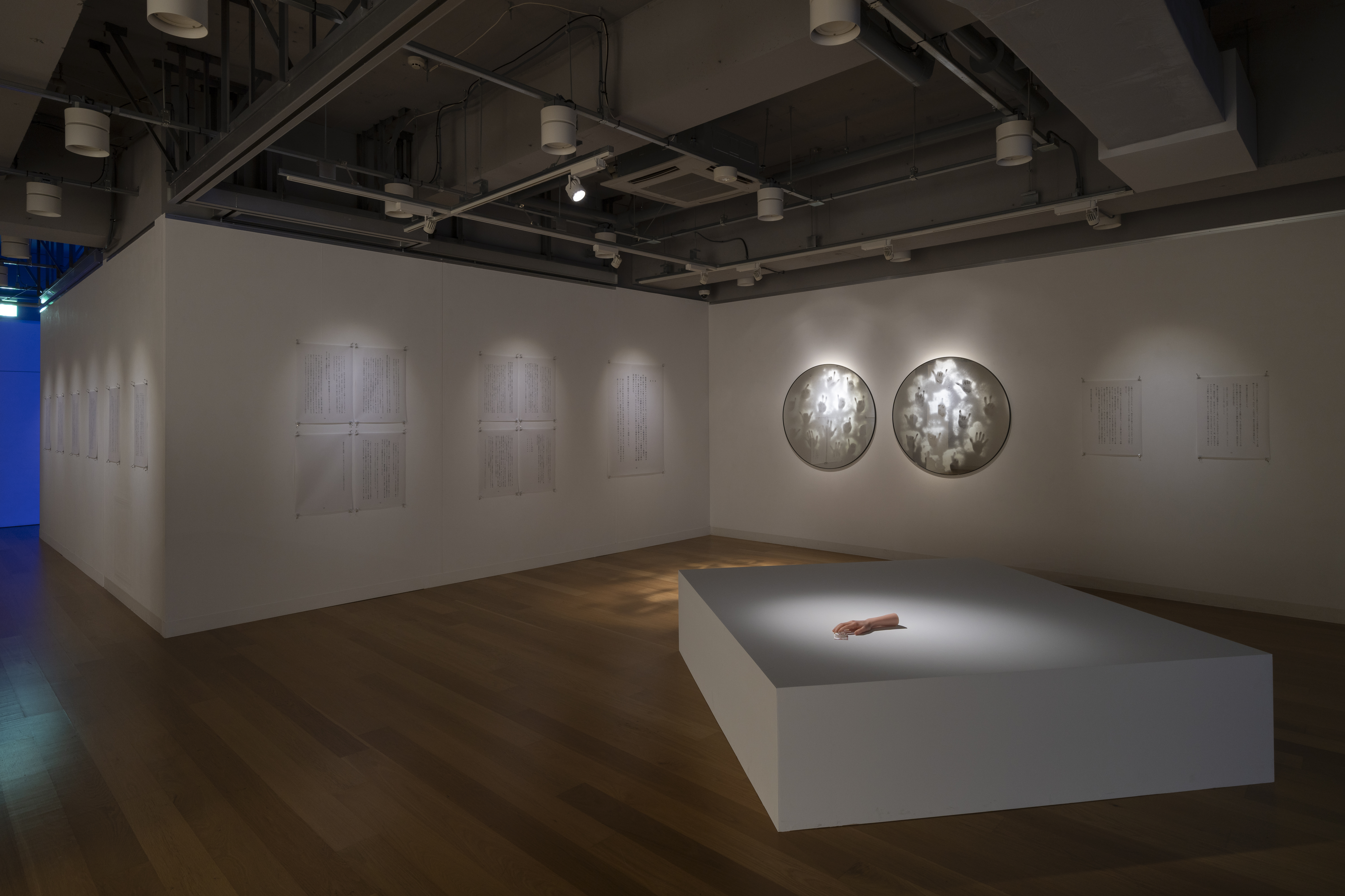 もうひとつのミュウ